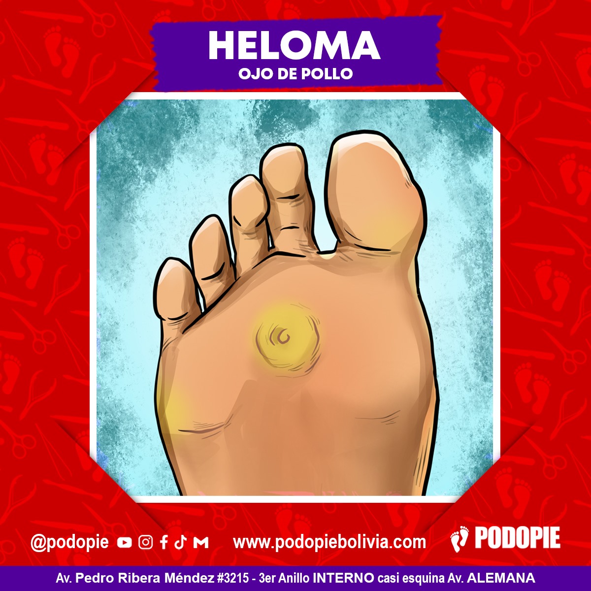 8. HELOMA